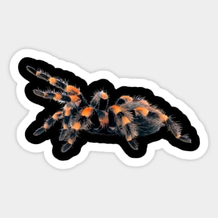 flamenco spider Sticker